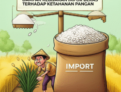 Dampak Kebijakan Impor Beras terhadap Ketahanan Pangan