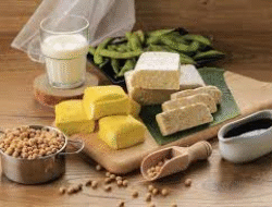 Kuliner Fermentasi Mendunia: Kombucha, Tempe Artisanal, dan Menu Sehat Lainnya