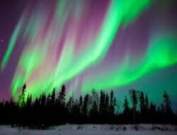 Rute Wisata Tromsø Terbaik untuk Spot Aurora Borealis