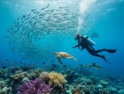 Rekomendasi Spot Diving Terbaik di Raja Ampat Untuk Melihat Keanekaragaman Hayati Laut