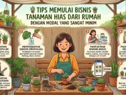 Tips Memulai Bisnis Tanaman Hias Dari Rumah Dengan Modal Yang Sangat Minim