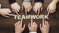 Cara Menggunakan Psikologi Kelompok Untuk Membangun Tim Kerja Yang Kompak Dan Solid